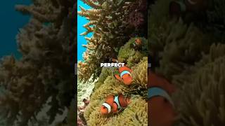 Nature’s Silent Conversation