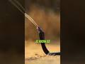 Strange Attack Of Spitting Cobra