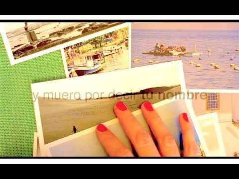 Luciano Larocca & El Escorpión - En la Tormenta (Video Lyric)