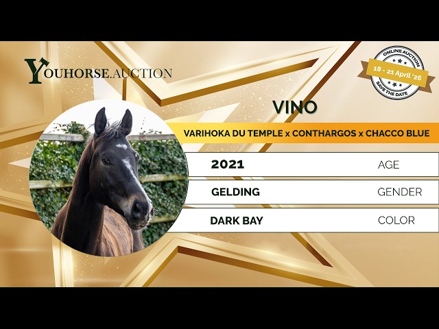 Vino
