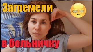 Синицы клюют москитную сетку как отвадить