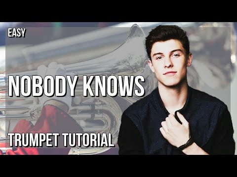 How to play Nobody Knows by Shawn Mendes on Trumpet (Tutorial)