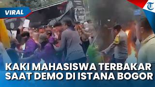 Kaki Mahasiswa Terbakar saat Demo di Depan Istana Bogor, Sempat Dilarang Polisi Nyalakan Api