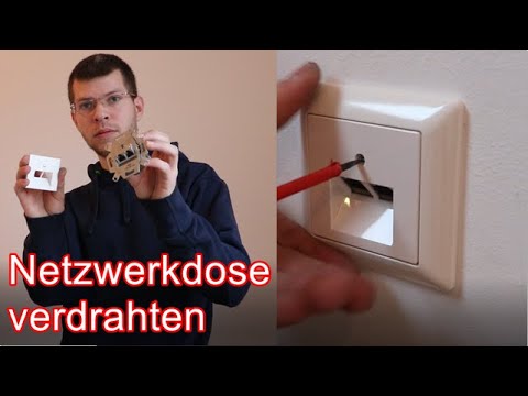 Netzwerkdose verdrahten! ElektroM