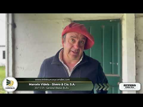 20-11-25 - Marcelo Videla - Sivero & Cía. S.A. - General Alvear, Bs.As.