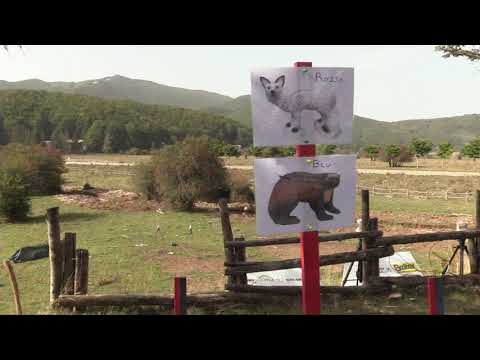 Campionati Italiani 3D - Le finali del compound