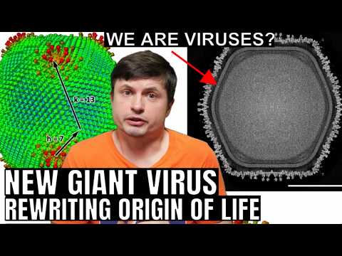 Giant Virus From Japan is Rewriting the Origin of Life
