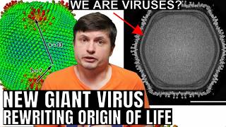Giant Virus Proofs Life Evolved Differently Than We Thought