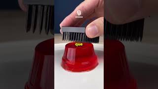 Fatos Bizzarros 😰 #fatoscuriosos #curiosidades #conhecimento #viral #fyp