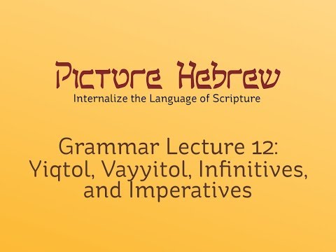 Biblical Hebrew Grammar 12: Yiqtol, Vayyiqtol, Infinitives, & Imperatives