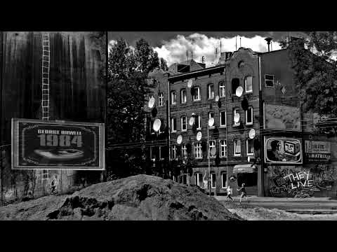 05.EGZEKUCYJNY PLUTON #Bu #Młody #Yot - "Nie Wierzę Politykom" gość: Dj Haem