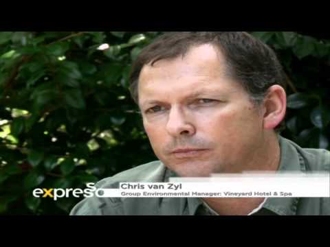 Vineyard Hotel & Spa - Expresso Feature