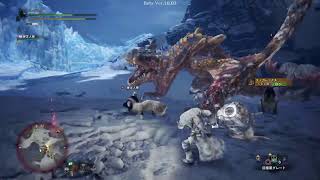 [自分も初見]MHW:ICEBORNE