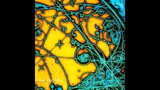 The Strokes – Trying Your Luck (Vinyl Rip) HQ