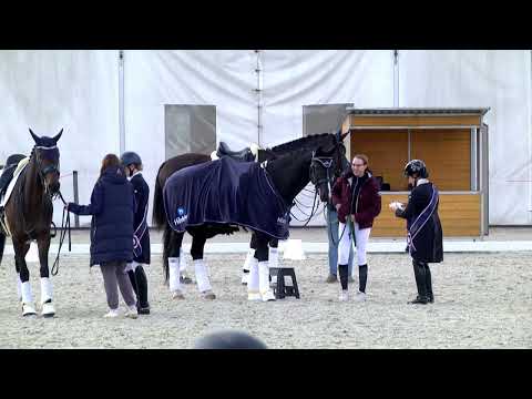 Dekorování – Olomouc, 29. 9. 2024