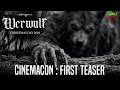 Teaser