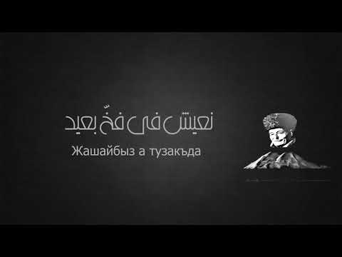 Омар Отаров. Кавказ таба бир