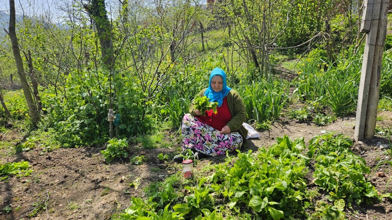 ‼️KENDİMİ BAHÇEYE ATTIM SONUÇ HASTANE‼️