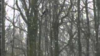 Current 93 - December 1971