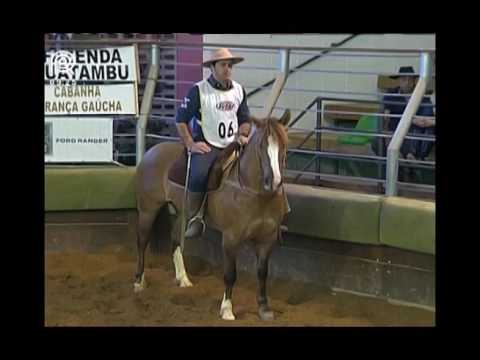 Aberta de Itu – 6° lugar fêmeas – Dinastia do Rio Bonito