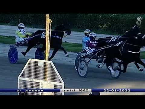 Aversa trotto 22 Gennaio 2022 - 3° Corsa