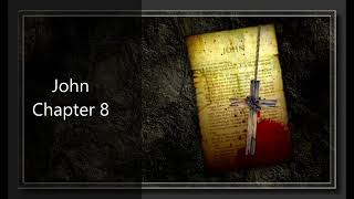 The Book of John Chapter 8 - New King James Version (NKJV) - Theatrical Audio Bible