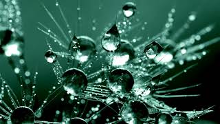 Jon Hopkins - Emerald Rush