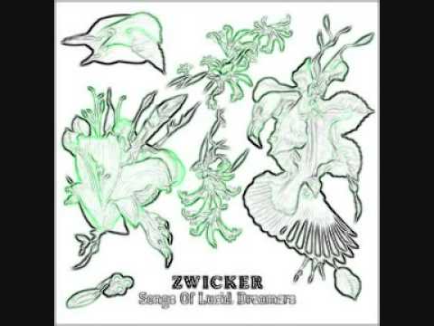 Zwicker feat. Heidi Happy - Who you are