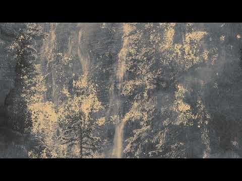 Anasisana - Reasoning