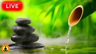 🔴 24 Hours of Deep Relaxing Music for Sleep: Calming Stress Relief Music, Spa Massage, Meditation thumbnail