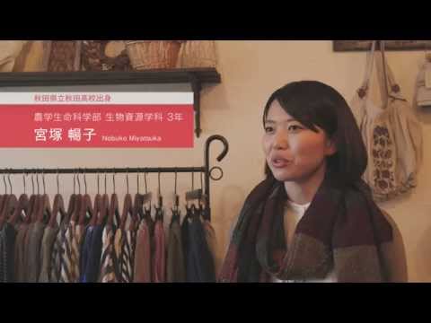Hirosaki 04