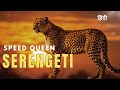 Speed Queen Serengeti National Geographic Hindi Animal Planet In Hindi Wildlife Documentary