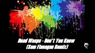 Dead Wasps - Don't You Know (Sam Flanagan Remix)