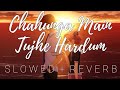 Chahunga Main Tujhe Hardum [Lyrics] | Slowed + Reverbed | LyricSenpai