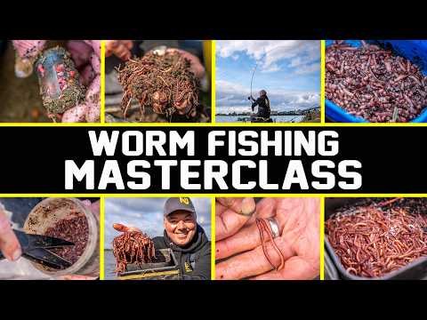 WORM FISHING MASTERCLASS | How to use and care for this awesome bait!