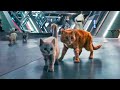 Let The Flerkens Eat You THE MARVELS Movie Clip 2023