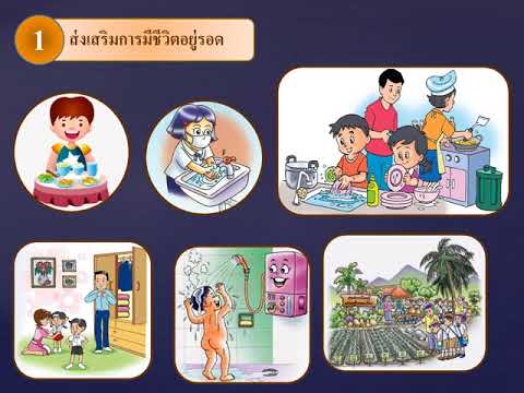 วิธีการที่เชื้อโรคม้า การขาดวิตามินสำหรับความอ่อนแอ