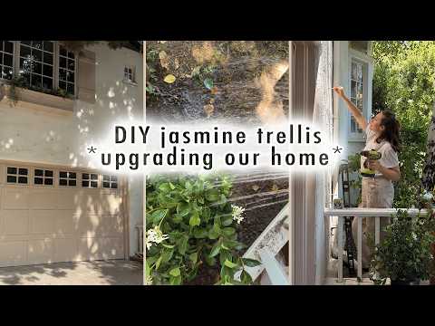 DIY jasmine trellis *upgrading our home* | MaCenna Lee
