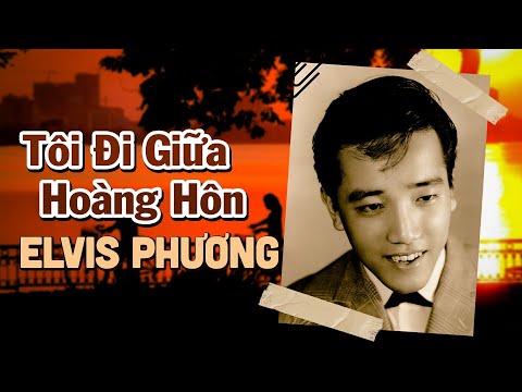TÔI ĐI GIỮA HOÀNG HÔN
