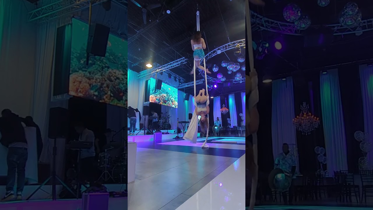 Promotional video thumbnail 3 for Elevated Maidens