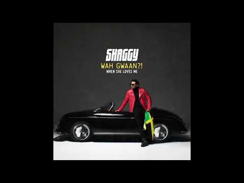 Shaggy - When She Loves Me (Official Audio)