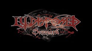 Illdisposed - Near The Gates - Live @ UT Connewitz 2017