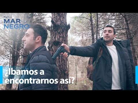 Dos amigos están cara a cara - Mar Negro Capítulo 135 | Fugitiva