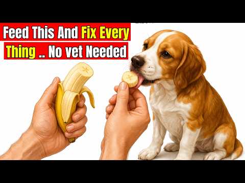12 Foods That Fix Everything in Your Dog - Vet Won’t Tell You This!