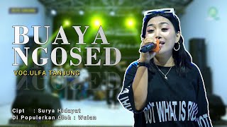 Download lagu BUAYA NGOSED (Wulan) - VOC.ULFA TANJUNG || LIVE.STUDIO SESSION mp3 Download lagu BUAYA NGOSED (Wulan) - VOC.ULFA TANJUNG || LIVE.STUDIO SESSION mp3