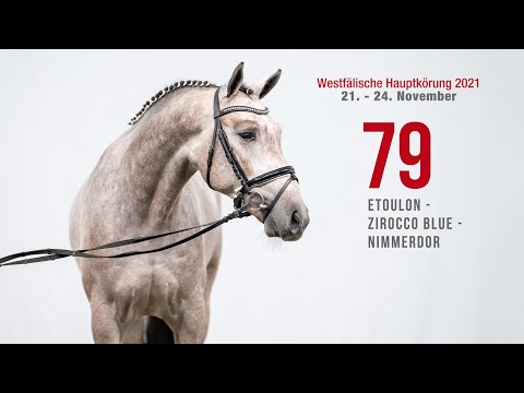 Hauptkörung 2021 Reitpferdehengste Kat-Nr. 79  Etoulon - Zirocco Blue - Nimmerdor