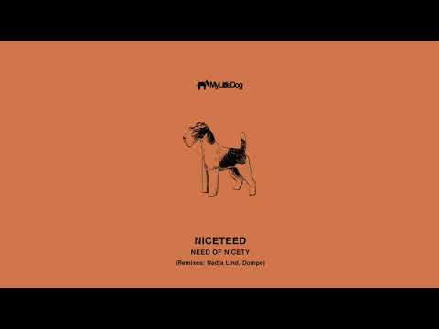 Niceteed - Need Of Nicety (Original Mix)