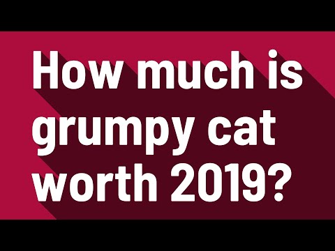 How much is grumpy cat worth 2019?