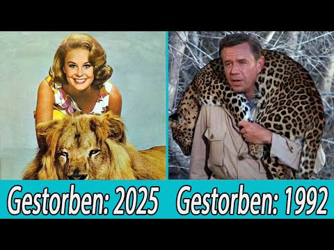 DAKTARI (1966): ALLE DARSTELLER NACH 60 JAHREN VERSTORBEN!