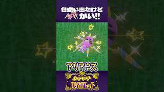 色違い出たけど、お前かい！【ポケモンSV】